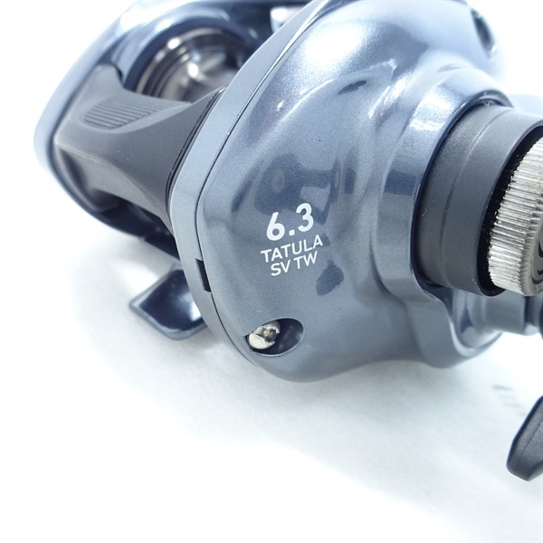 ２５タトゥーラＳＶＴＷ１００